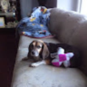 Meet your Posher, Mitch